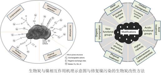 環(huán)資學院生物炭修復土壤重金屬污染研究取得新進展