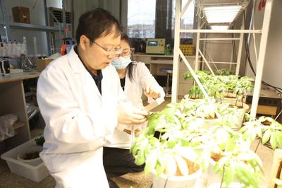 探秘昆明理工大學 走進云南省三七資源可持續(xù)利用重點實驗室